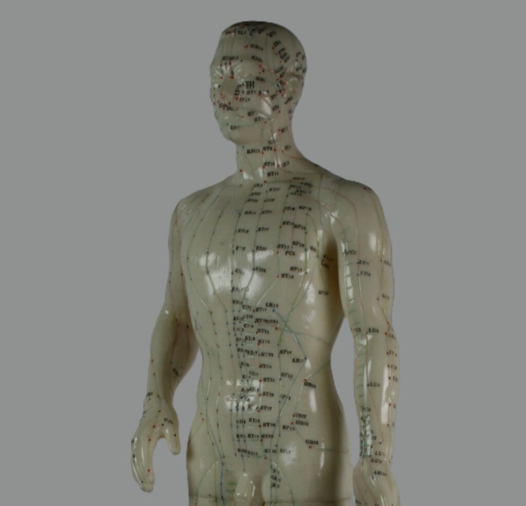 Meridiane, Energiebahnen, sytemische Zusammenhänge